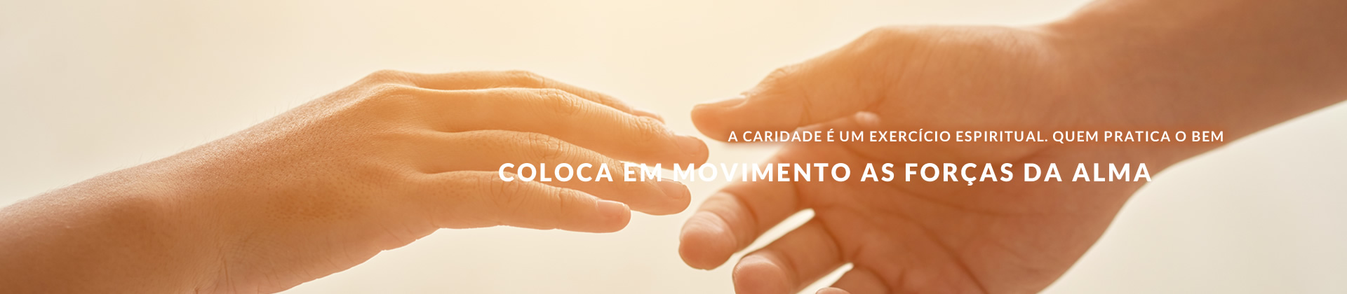 Affrassis - Assistência Fraternal Francisco de Assis